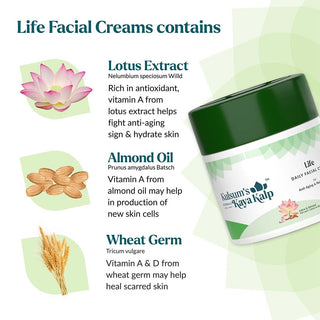 Daily Life Facial Cream
