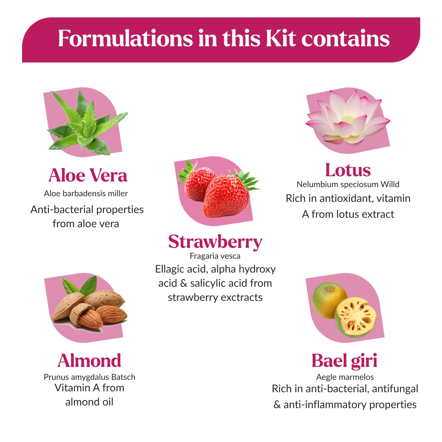 Kulsum's Kaya Kalp Herbals Strawberry Facial Kit 40GM